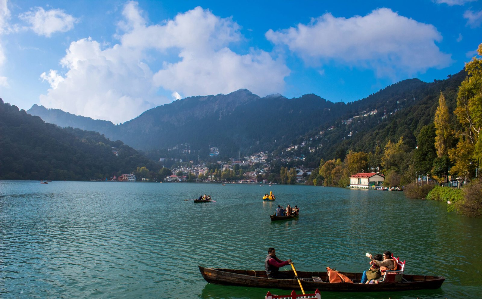 a group of people rowing boats